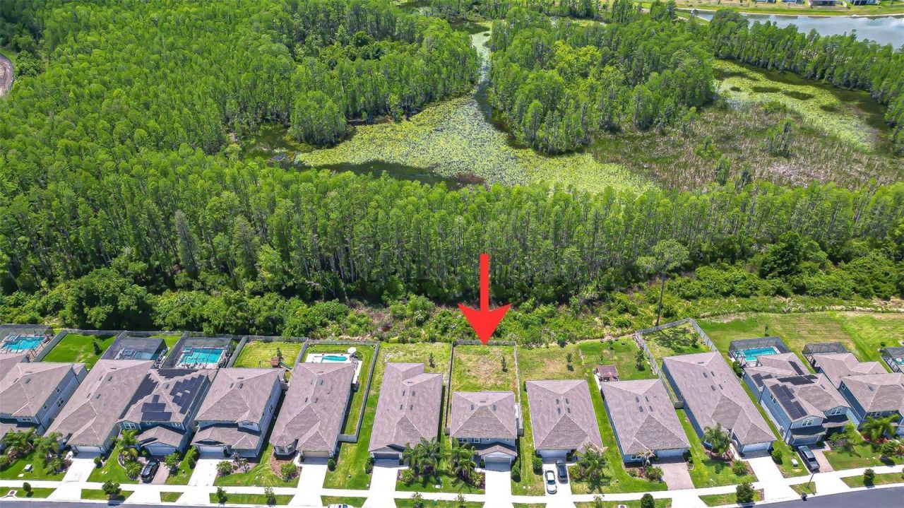 20978 Monza Loop, Land O Lakes, FL 34638 Photo