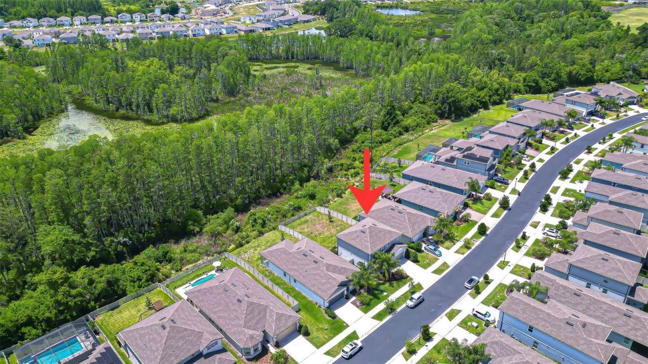 20978 Monza Loop, Land O Lakes, FL 34638 Photo