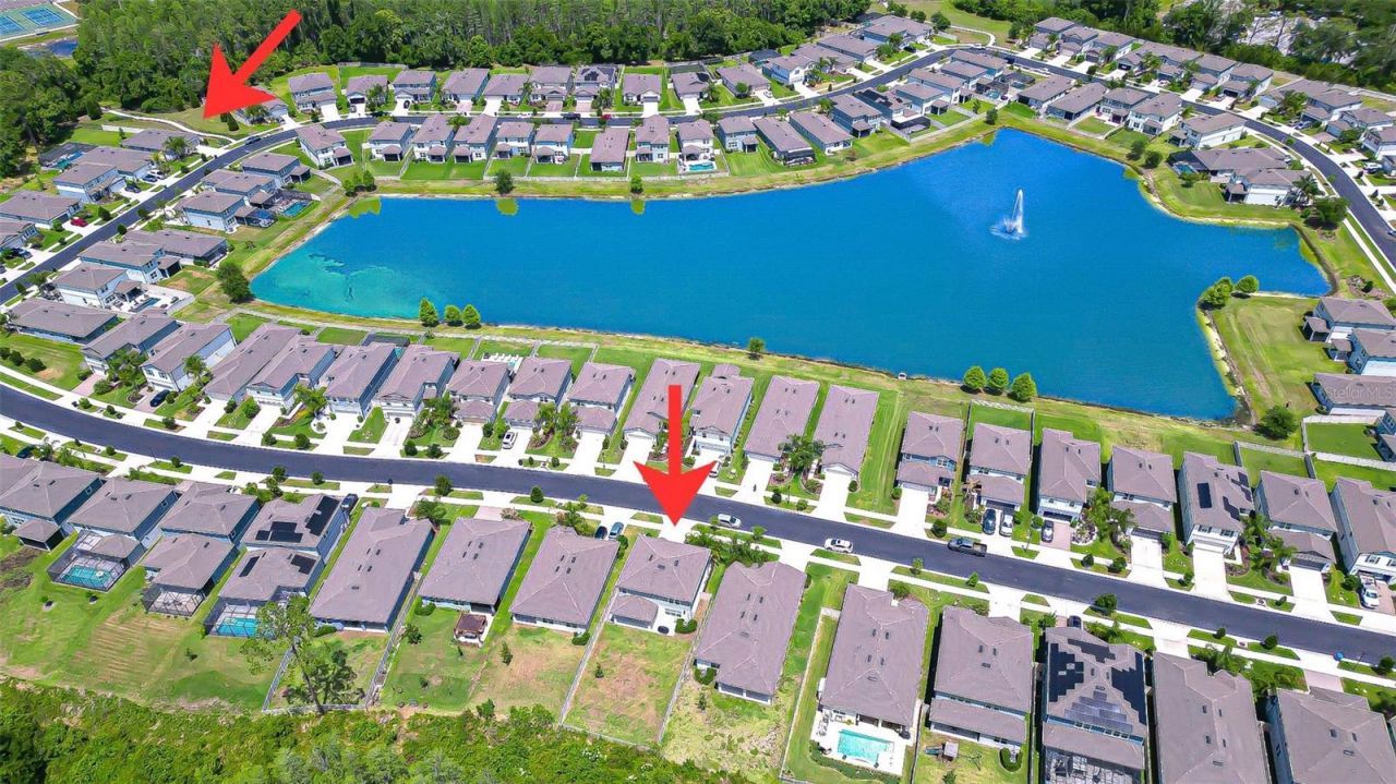 20978 Monza Loop, Land O Lakes, FL 34638 Photo