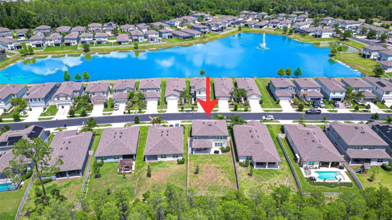 20978 Monza Loop, Land O Lakes, FL 34638 Photo