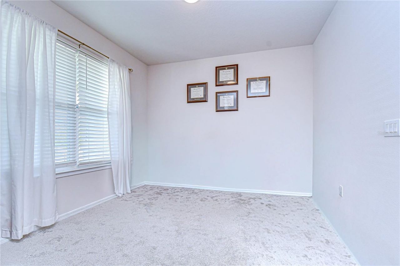 20978 Monza Loop, Land O Lakes, FL 34638 Photo