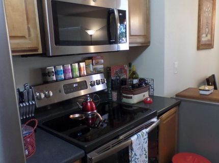 3890 E Leonesio Drive, Unit APT D1, Reno, NV 89512 Photo