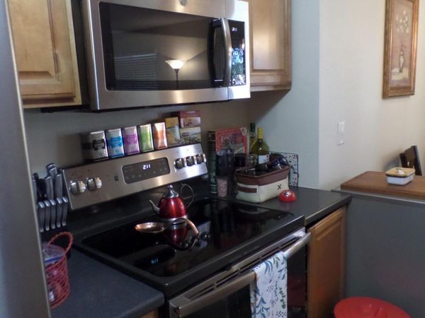 3890 E Leonesio Drive, Unit APT D1, Reno, NV 89512