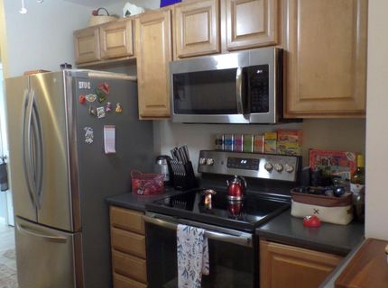 3890 E Leonesio Drive, Unit APT D1, Reno, NV 89512 Photo