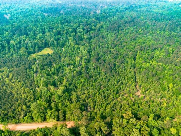 0 Fields Farm Road, Millen, GA 30442