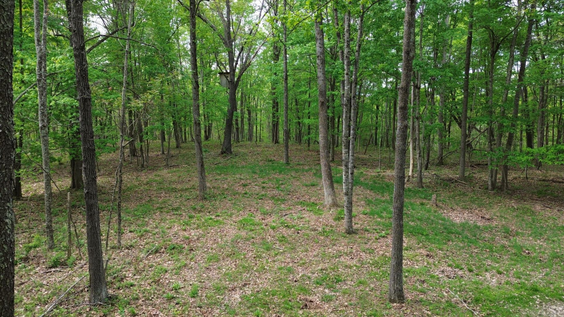 694A Tunnel Ridge Road , Argillite, KY 41121