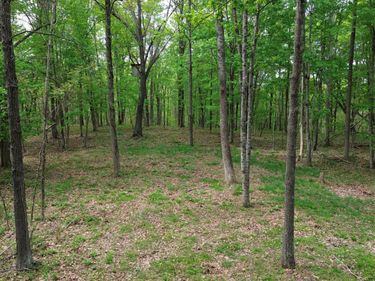 694A Tunnel Ridge Road , Argillite, KY 41121