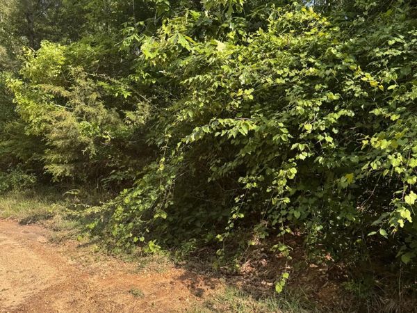 100 Bryant Ln., Magee, MS 39111