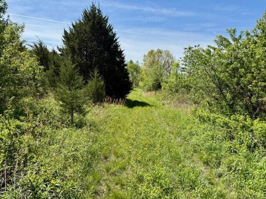 Property Image 64