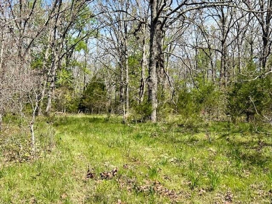Property Image 66