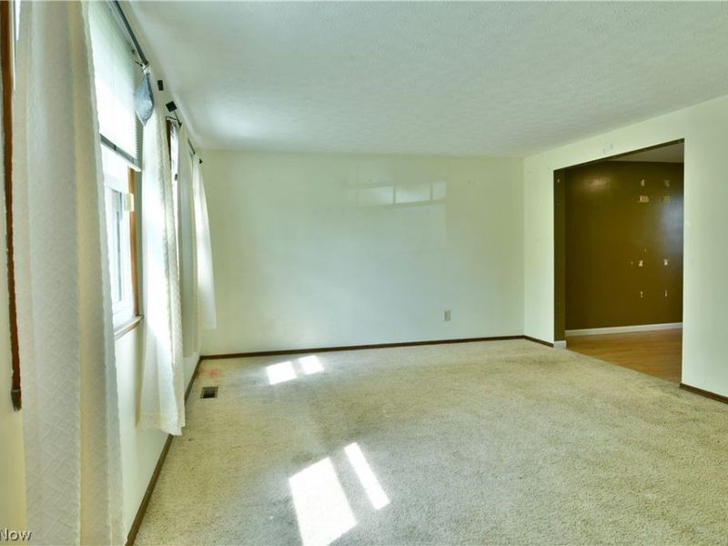 1323 Cedarwood Drive, Mineral Ridge, OH 44440 Photo 14