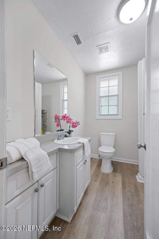 166 Hernando Drive, Florahome, FL 32140 Photo