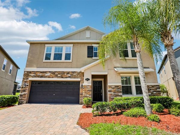 19417 PADDOCK VIEW DRIVE, TAMPA, FL 33647