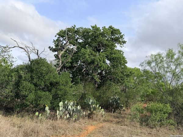 3980 Highway 173, Jourdanton, TX 78026