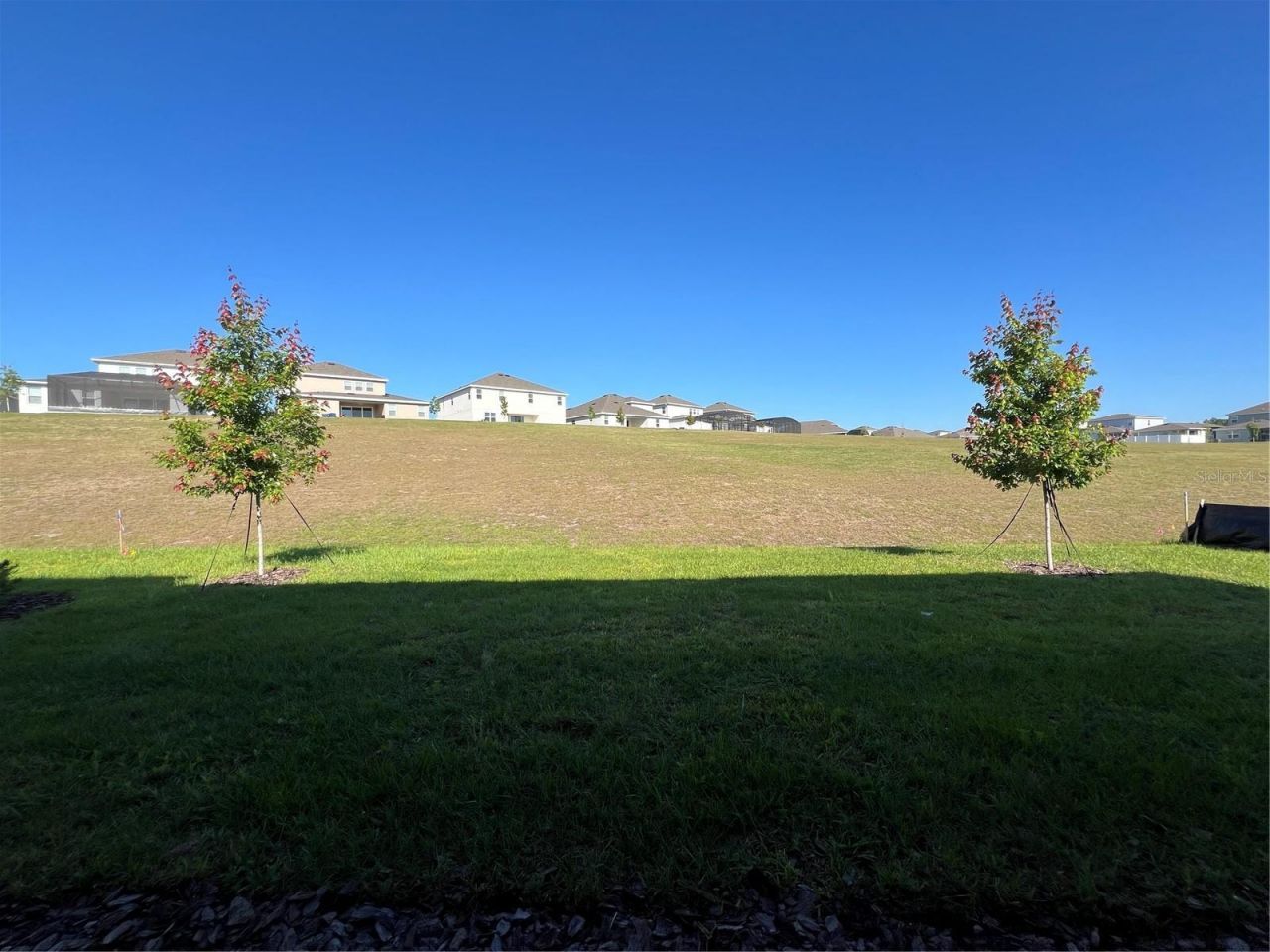 2367 Juniper Berry Drive , Minneola, FL 34715 Photo