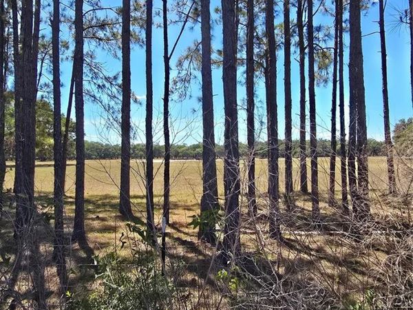 27137 MILLER ROAD , DADE CITY, FL 33525