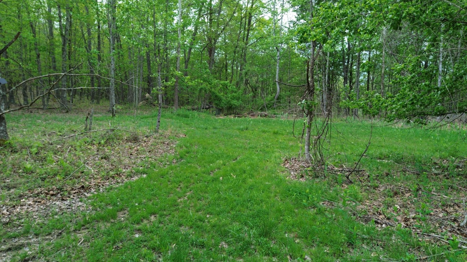 566A Tunnel Ridge Road , Argillite, KY 41121