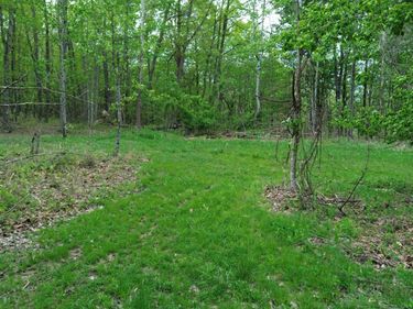 566A Tunnel Ridge Road , Argillite, KY 41121