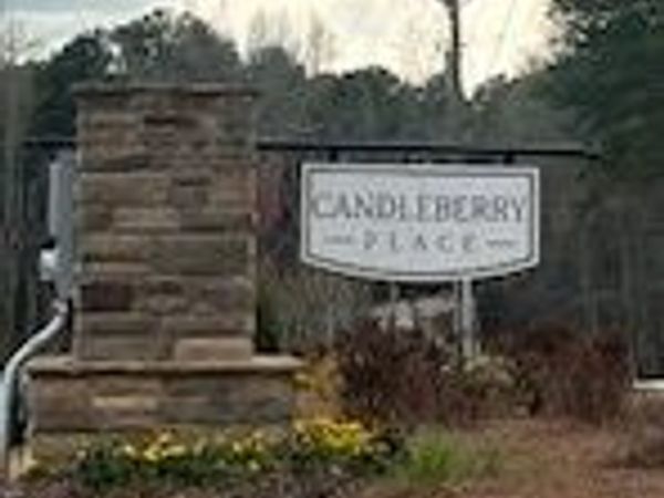 14 Candleberry Way, Sharpsburg, GA 30277