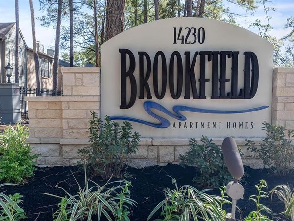 14230 Wunderlich Drive, Unit 259, Houston, TX 77069