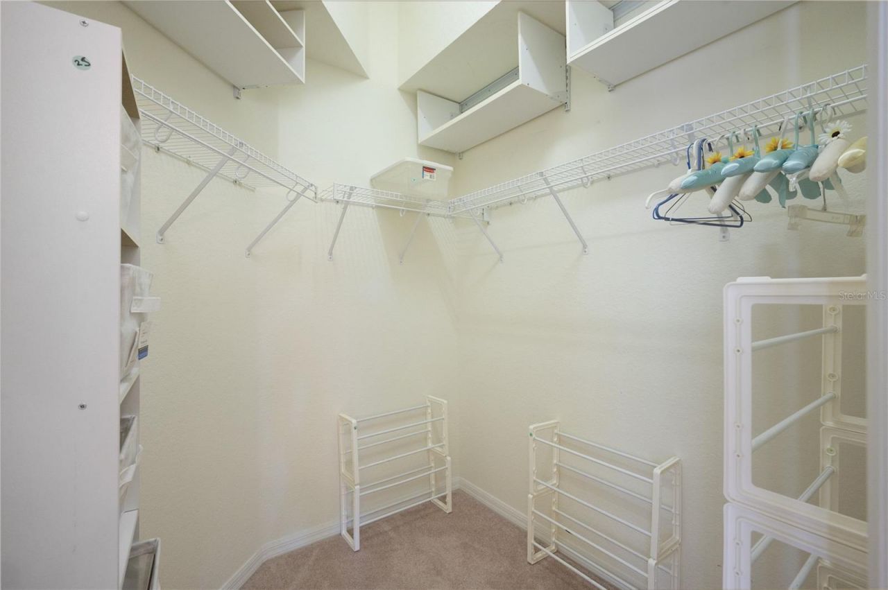 9551 Jaybird Lane, Land O Lakes, FL 34638 Photo