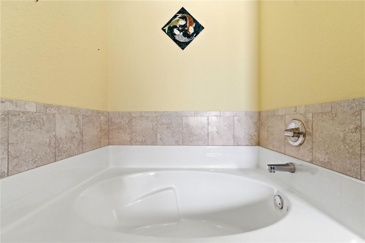 9551 Jaybird Lane, Land O Lakes, FL 34638 Photo