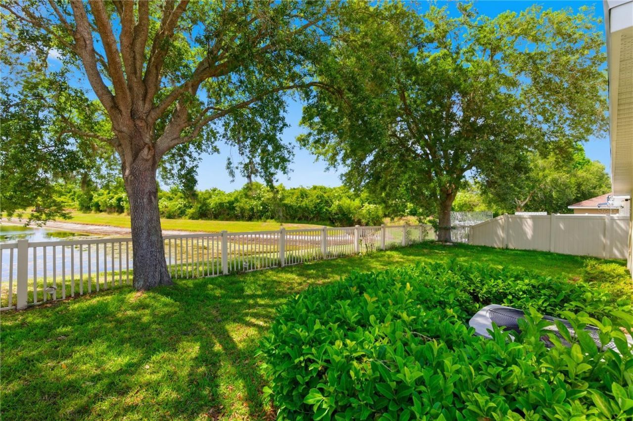9551 Jaybird Lane, Land O Lakes, FL 34638 Photo