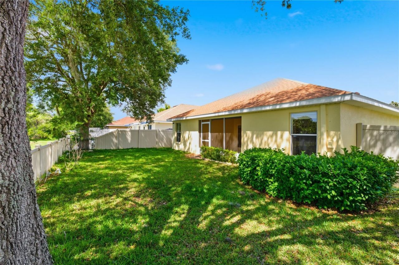 9551 Jaybird Lane, Land O Lakes, FL 34638 Photo