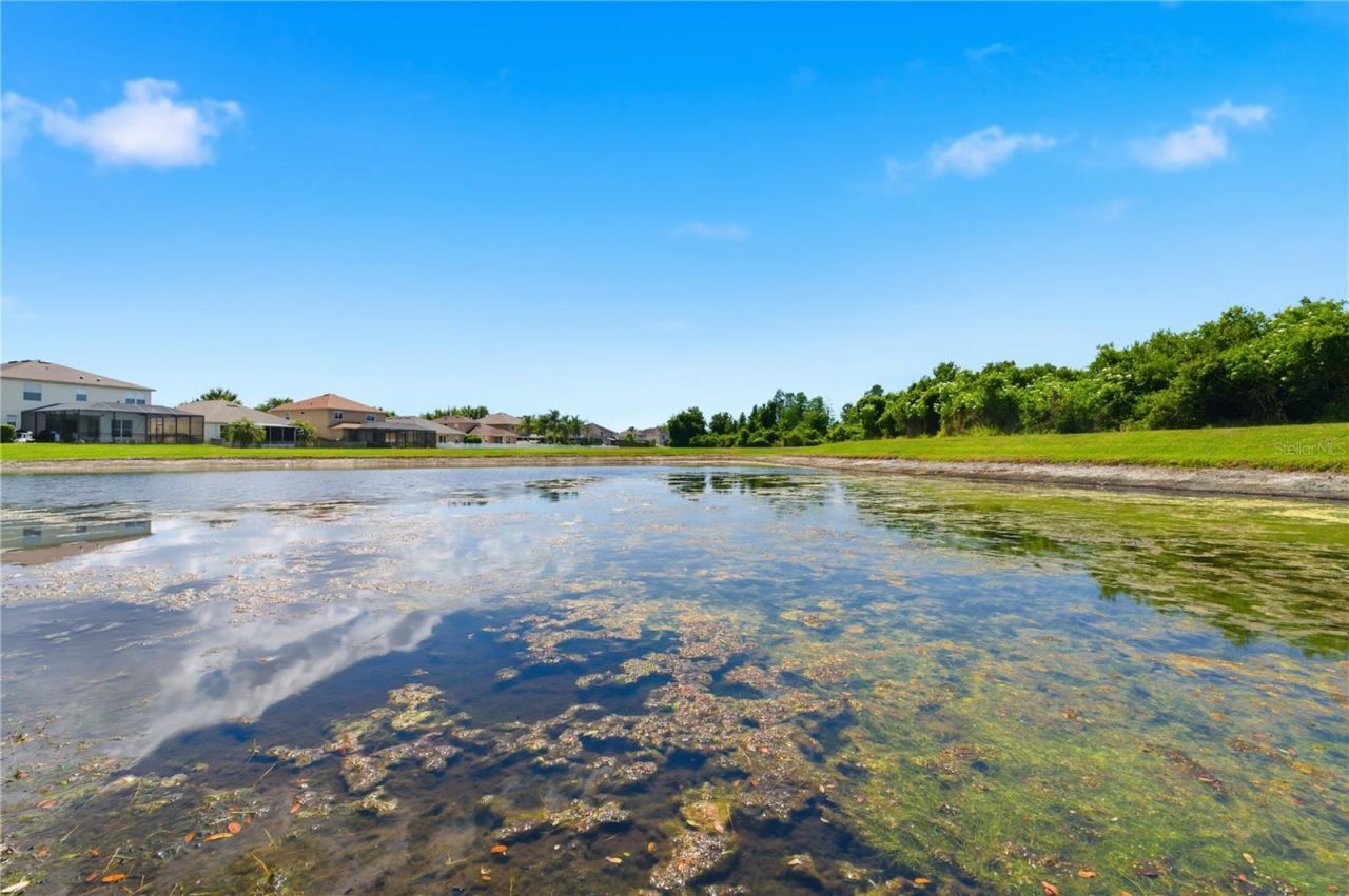 9551 Jaybird Lane, Land O Lakes, FL 34638 Photo