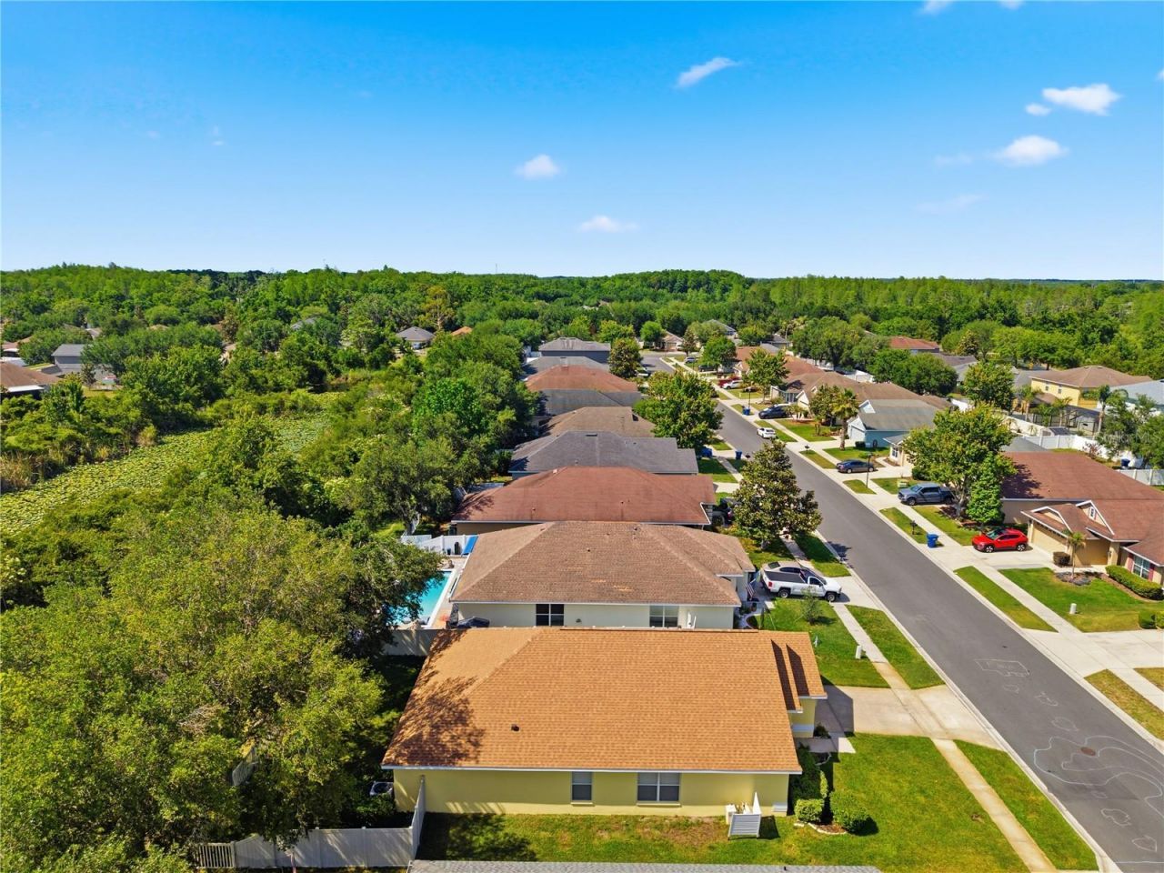9551 Jaybird Lane, Land O Lakes, FL 34638 Photo