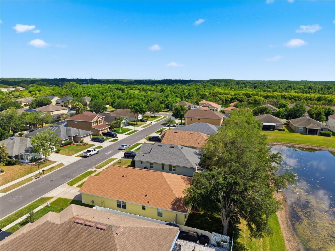 9551 Jaybird Lane, Land O Lakes, FL 34638 Photo