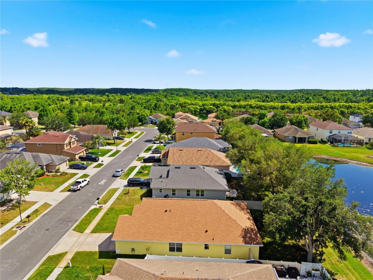 9551 Jaybird Lane, Land O Lakes, FL 34638 Photo