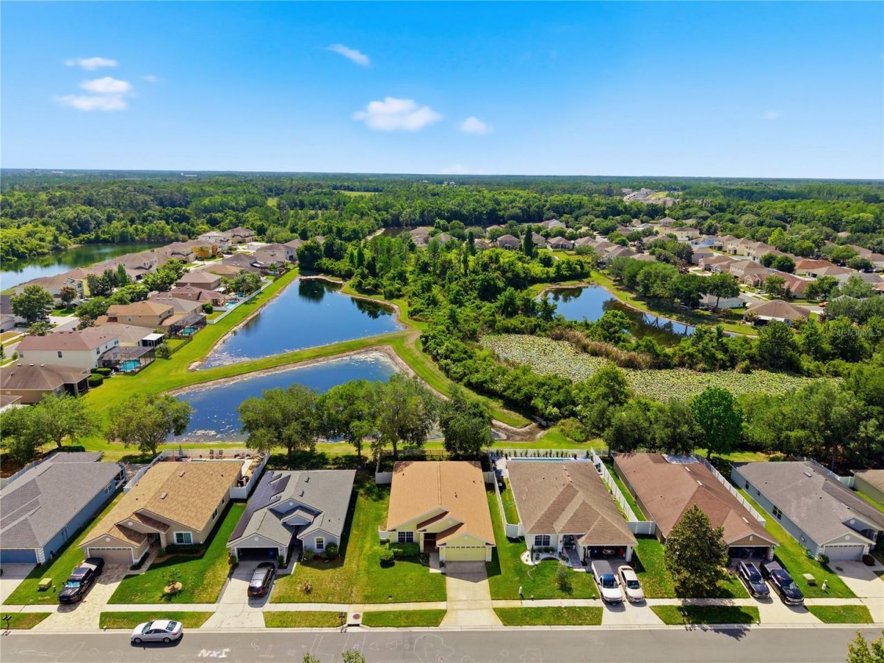 9551 Jaybird Lane, Land O Lakes, FL 34638 Photo