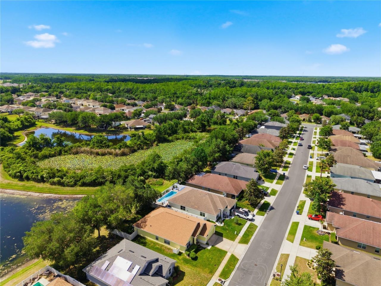 9551 Jaybird Lane, Land O Lakes, FL 34638 Photo