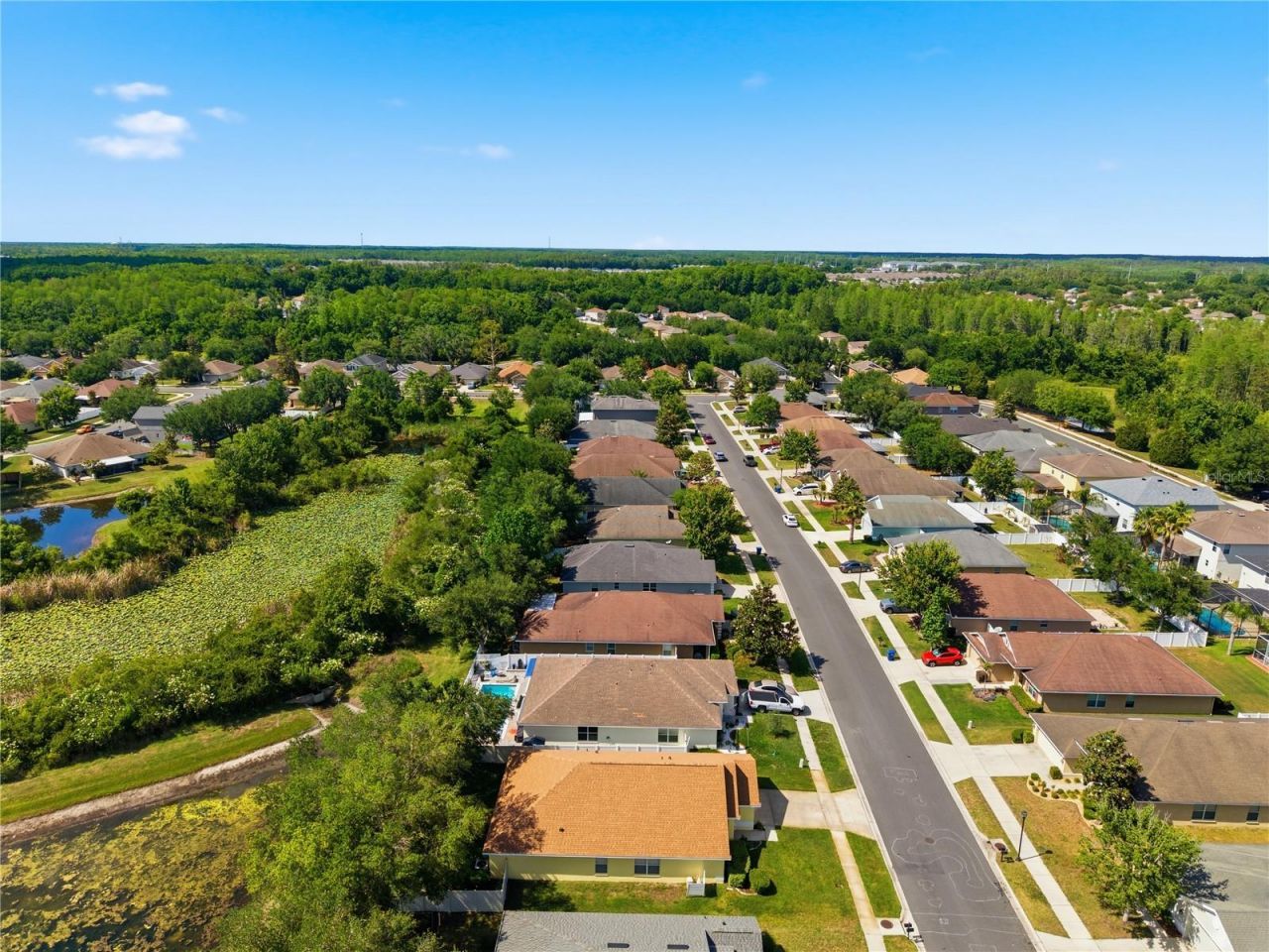 9551 Jaybird Lane, Land O Lakes, FL 34638 Photo
