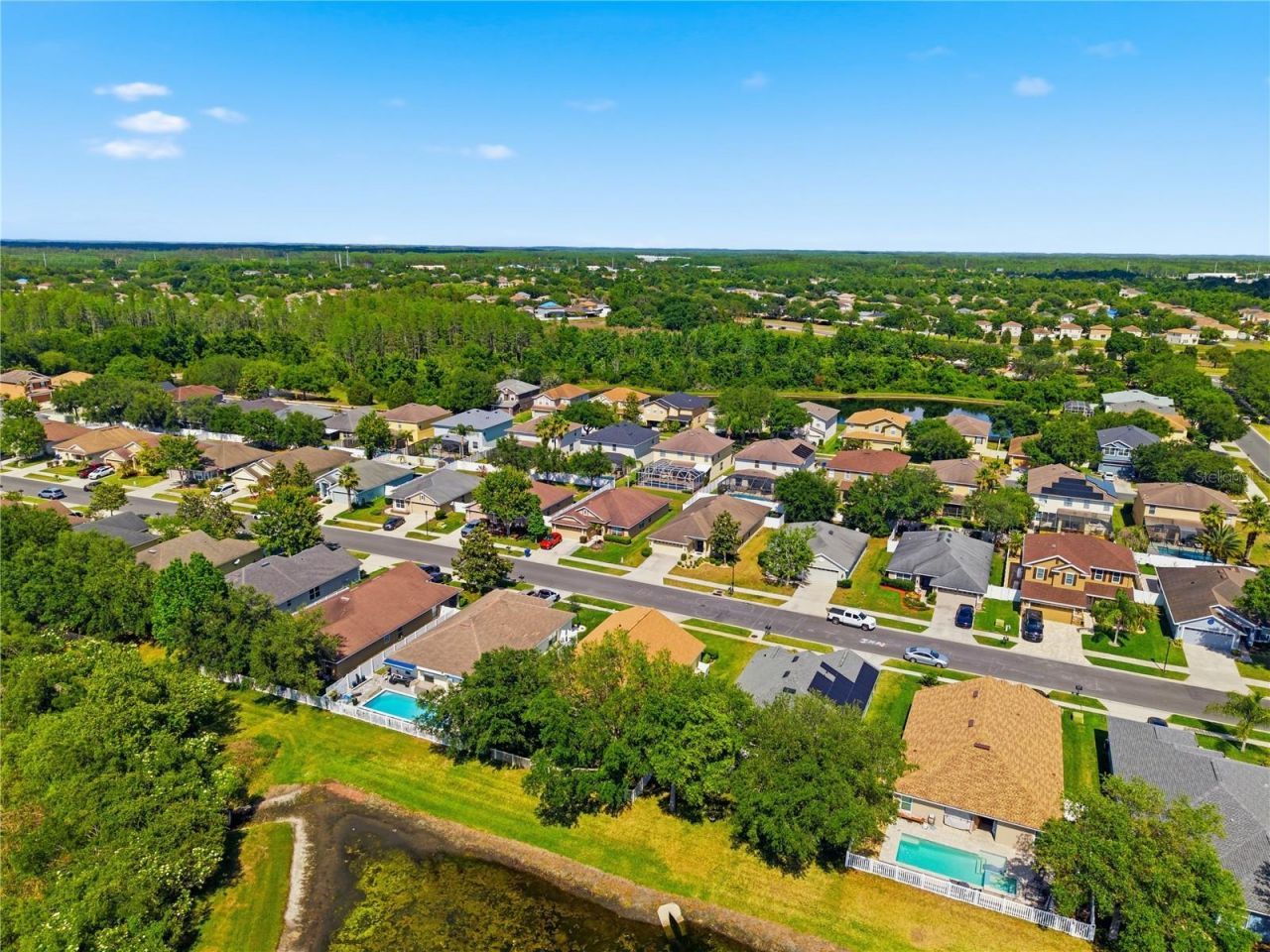 9551 Jaybird Lane, Land O Lakes, FL 34638 Photo