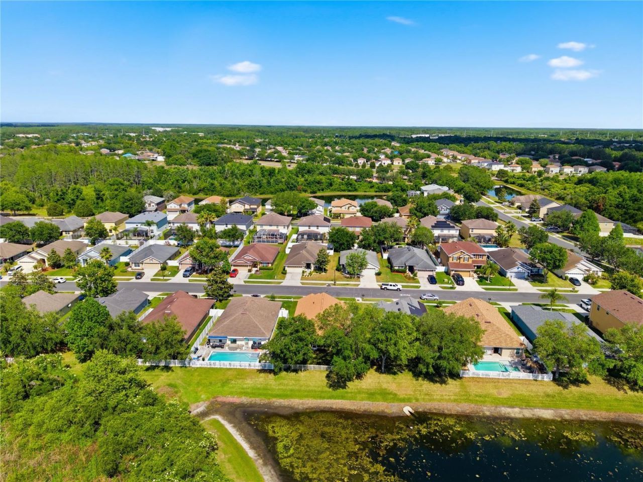 9551 Jaybird Lane, Land O Lakes, FL 34638 Photo