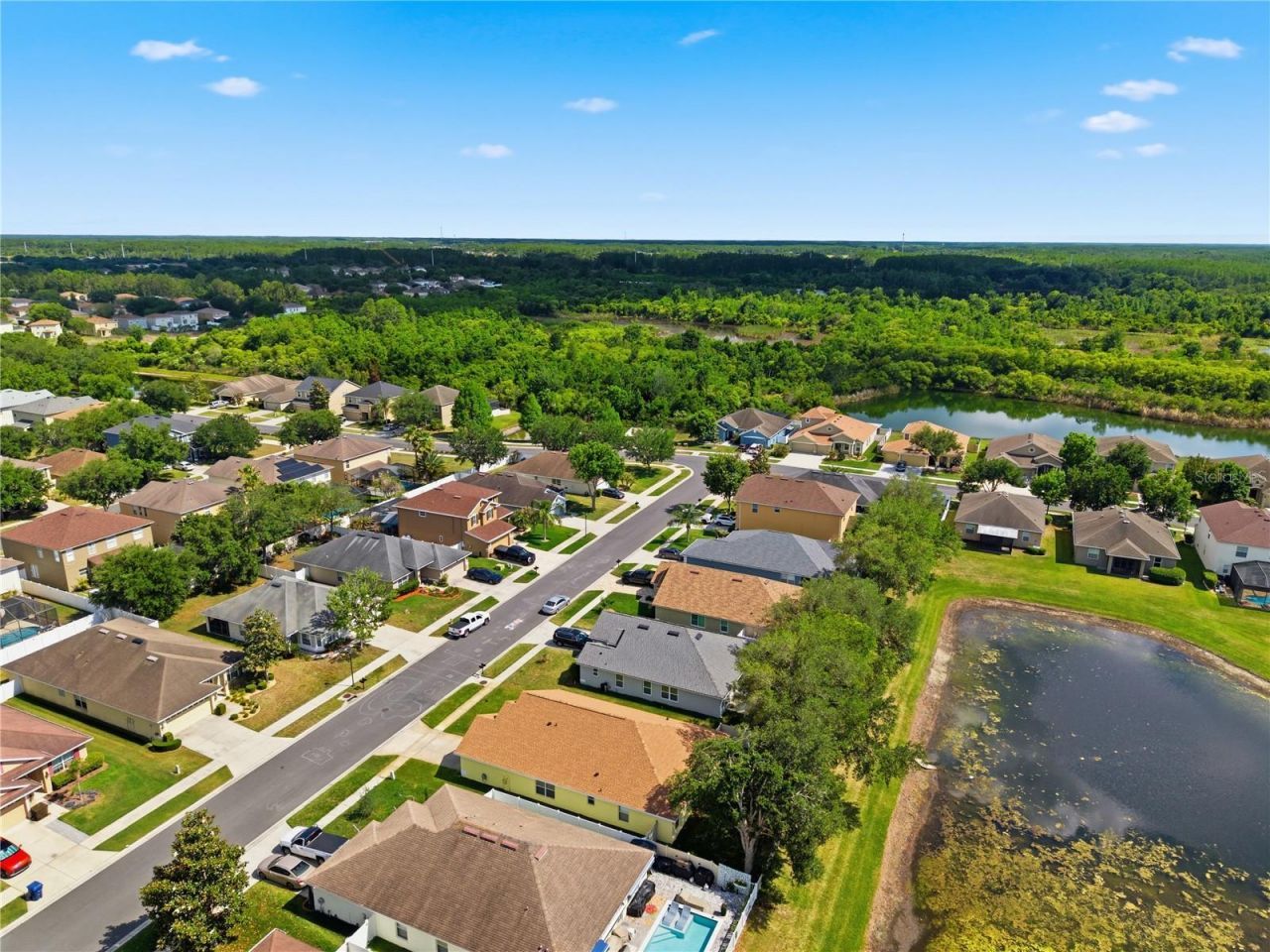 9551 Jaybird Lane, Land O Lakes, FL 34638 Photo