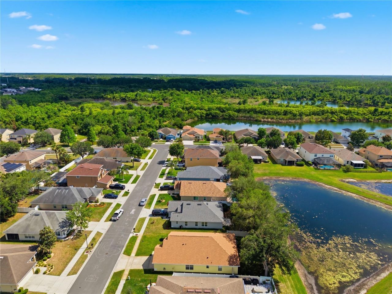 9551 Jaybird Lane, Land O Lakes, FL 34638 Photo