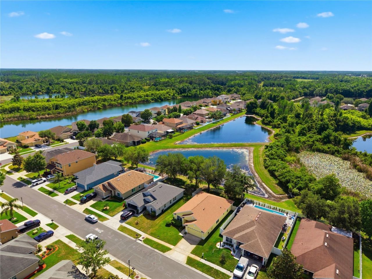 9551 Jaybird Lane, Land O Lakes, FL 34638 Photo