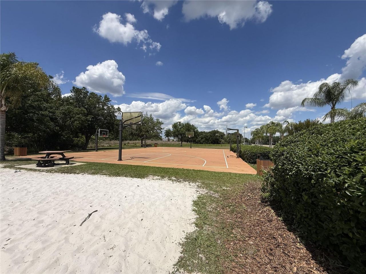 9551 Jaybird Lane, Land O Lakes, FL 34638 Photo
