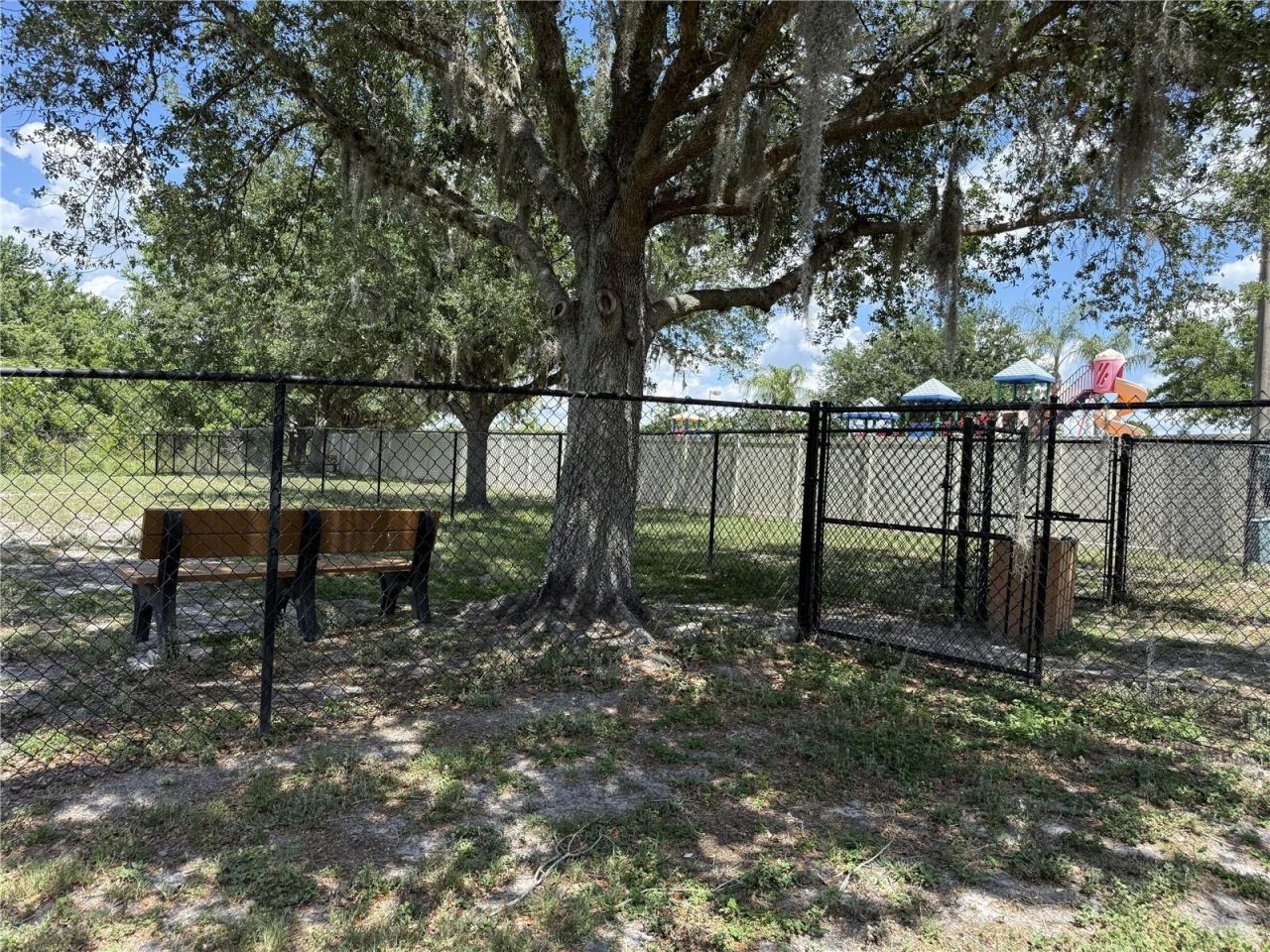 9551 Jaybird Lane, Land O Lakes, FL 34638 Photo