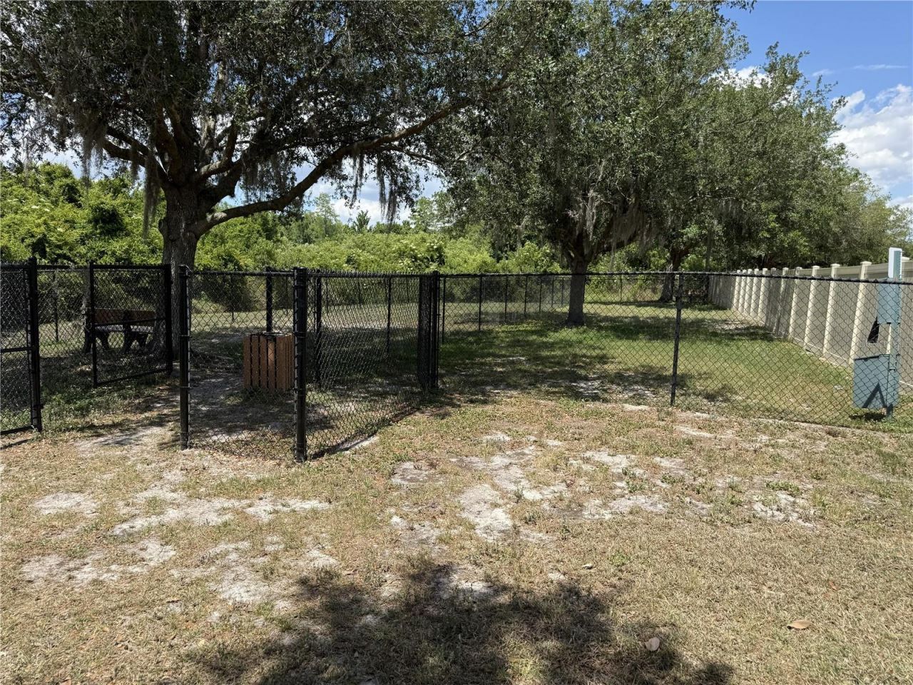 9551 Jaybird Lane, Land O Lakes, FL 34638 Photo