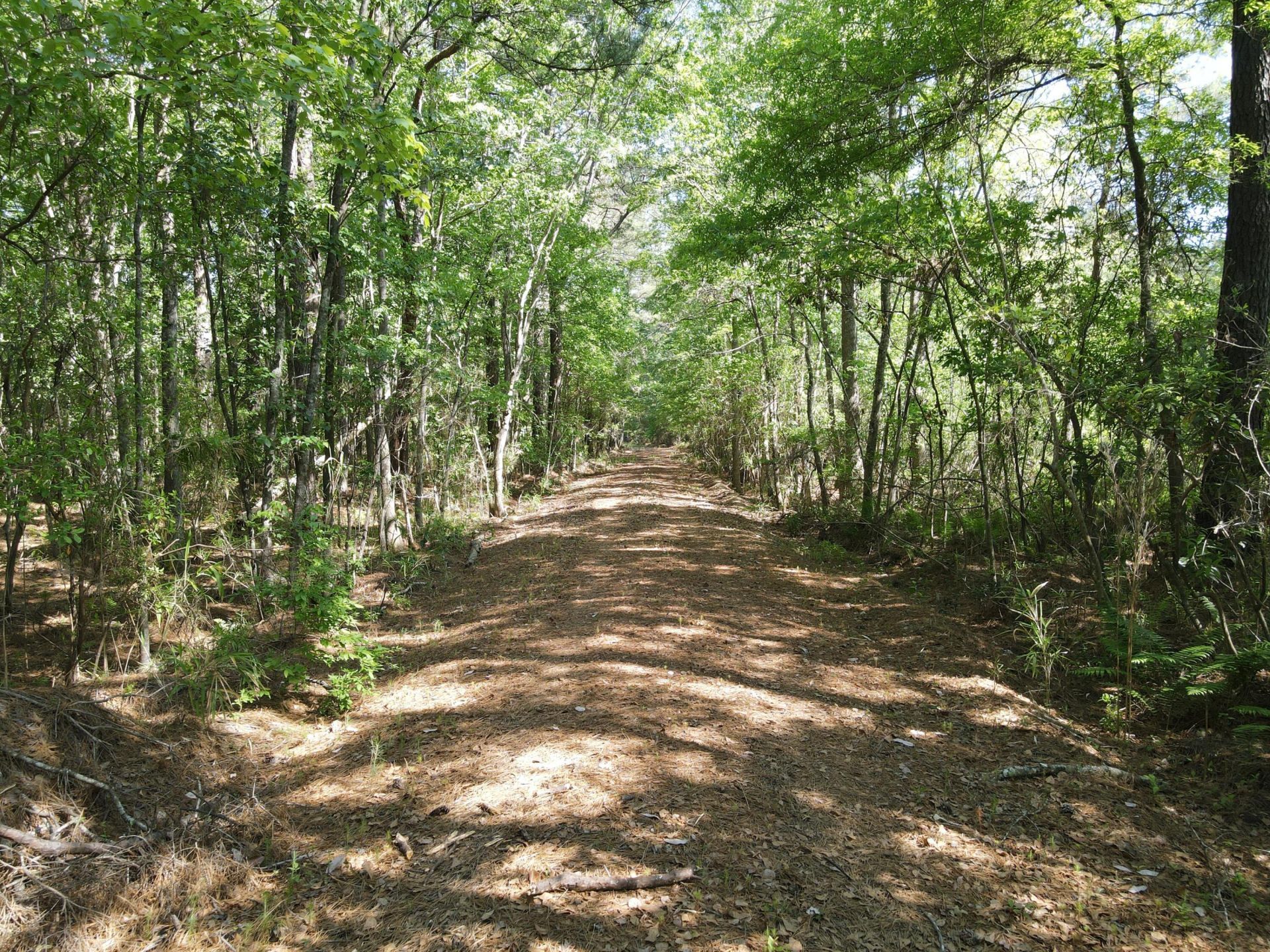 0 Cottage Lane Photo 9