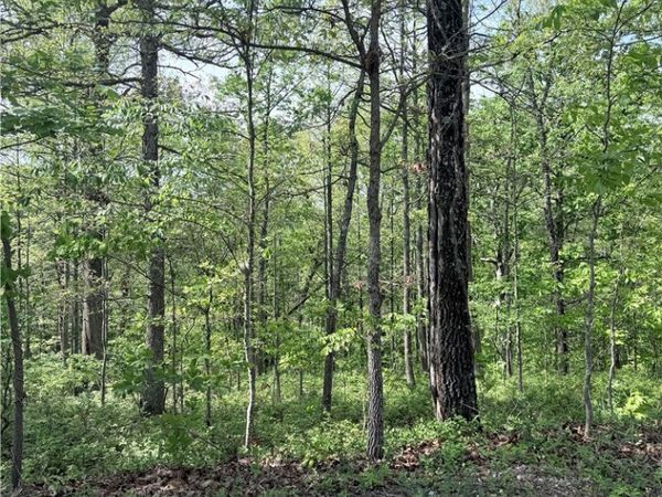 TBD Nantwich Circle , Bella Vista, AR 72714