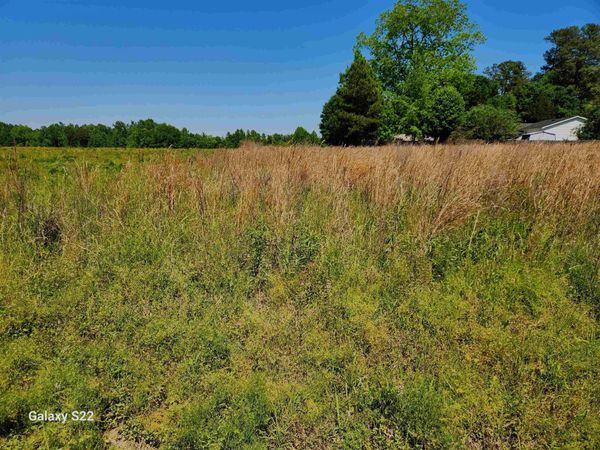 TBD Pleasant View Church Rd. , Nichols, SC 29581