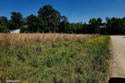Tbd Pleasant View Church Rd.  photo 4