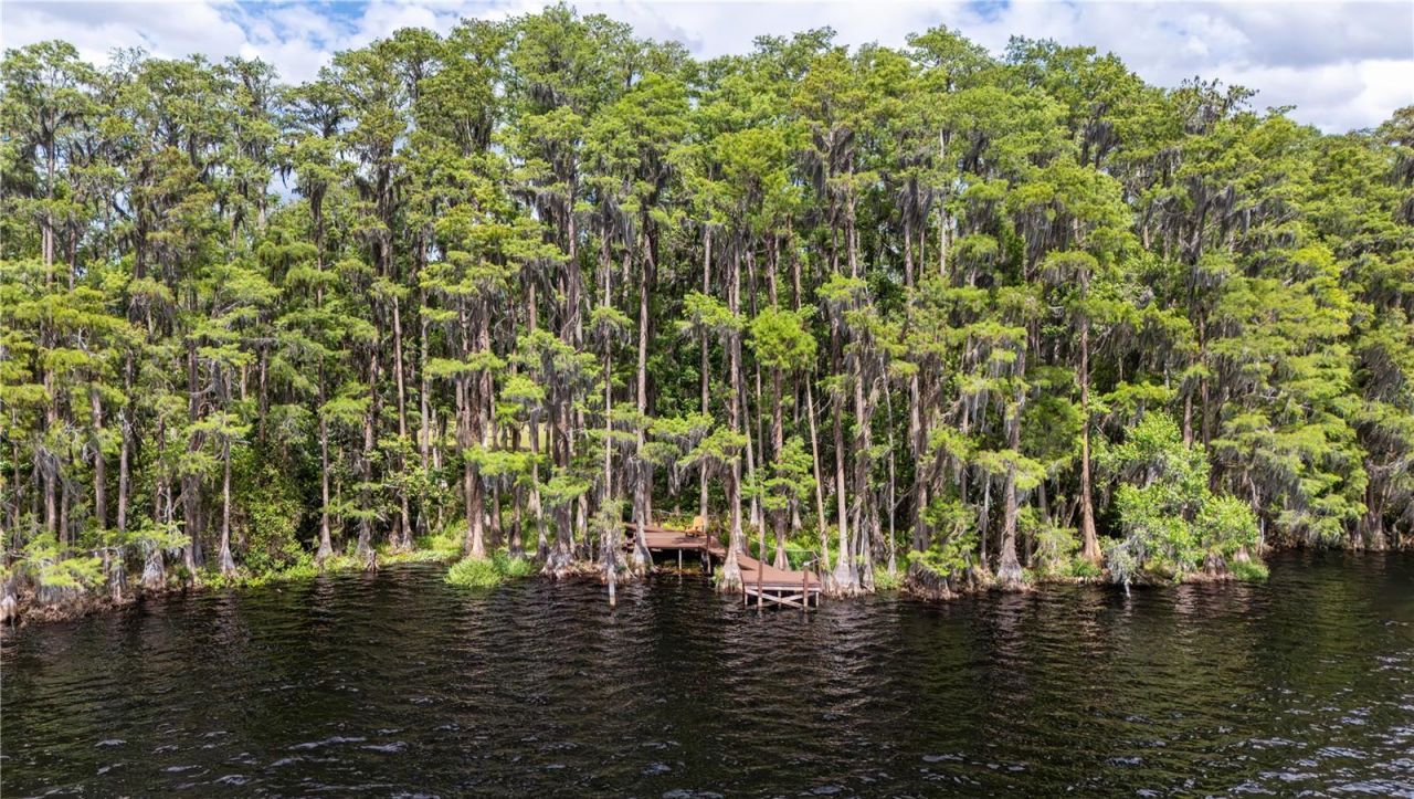 6043 Lake Erie Road, Groveland, FL 34736 Photo