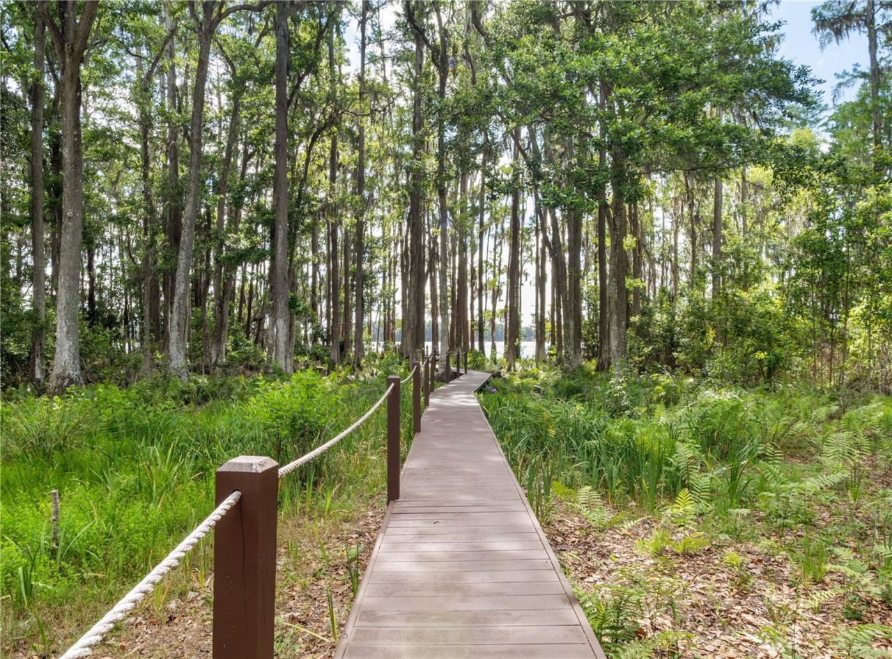 6043 Lake Erie Road, Groveland, FL 34736 Photo