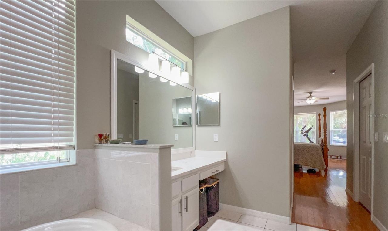 9046 Shenandoah Run , Wesley Chapel, FL 33544 Photo